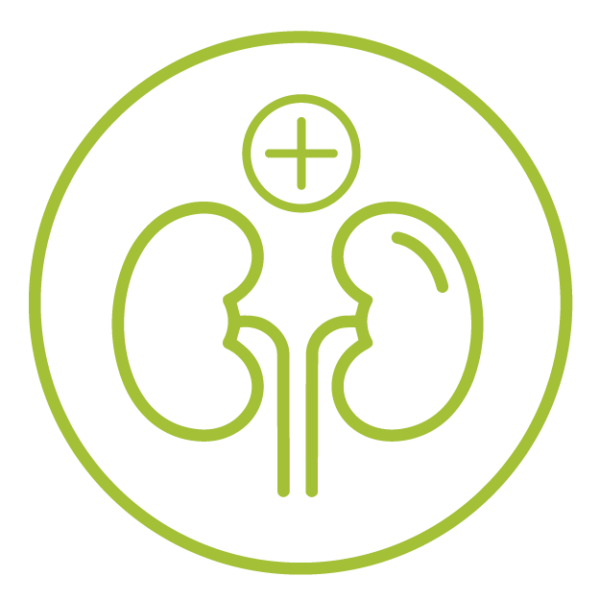 Colique néphrétique