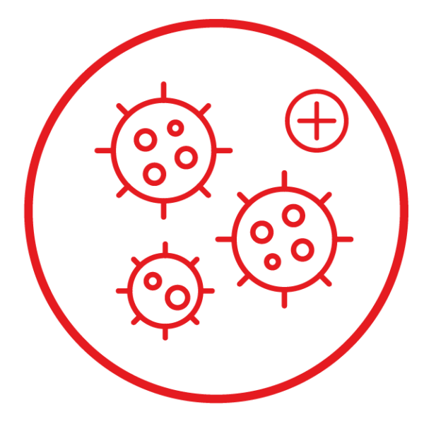 Infections urinaires